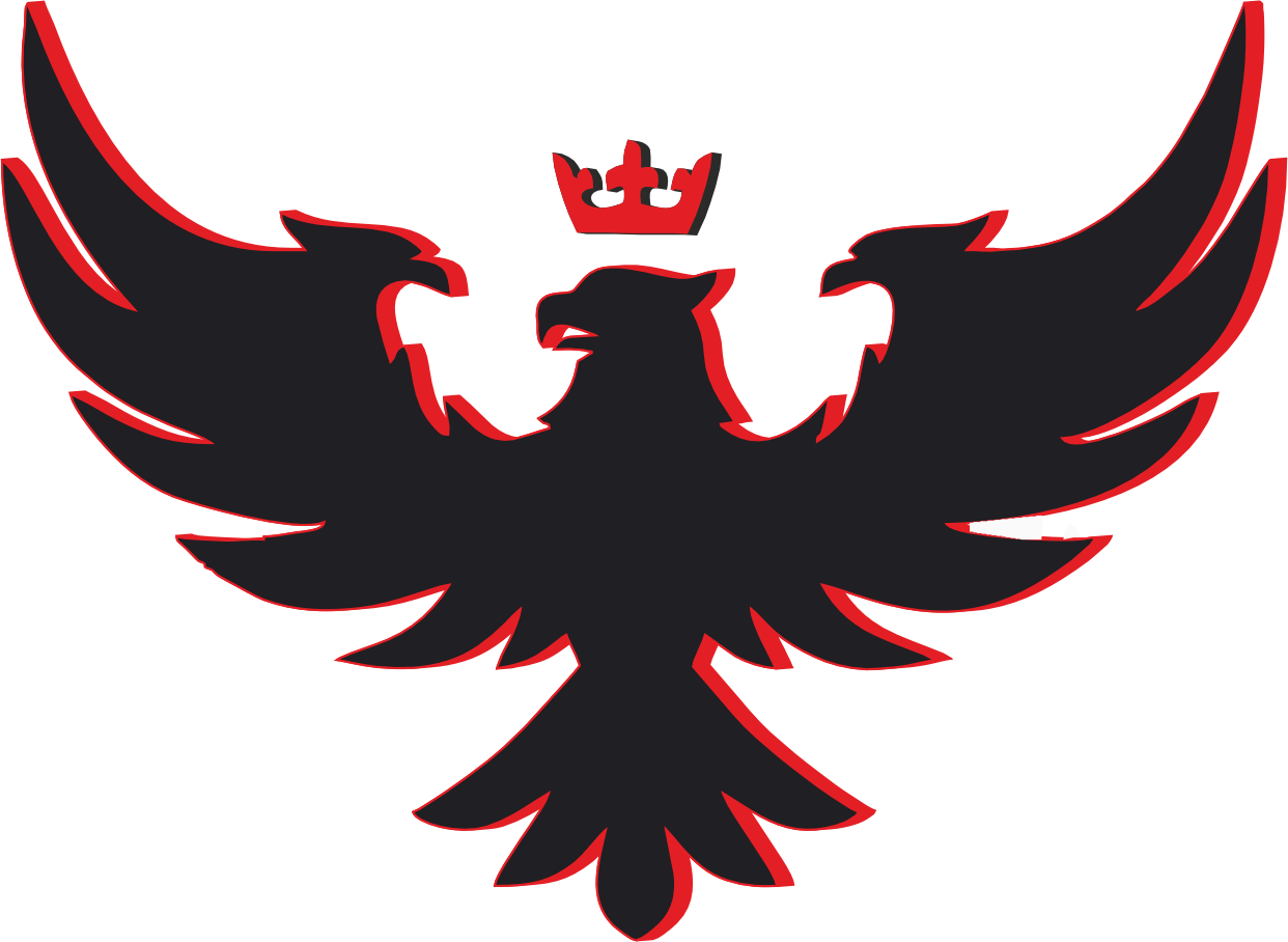 <b>Aryan</b> Ajudiya
